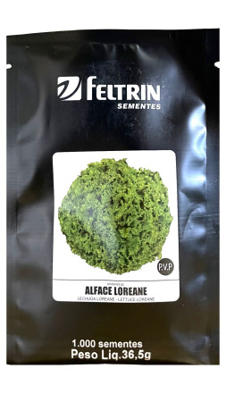 Alface Loreane 1mx