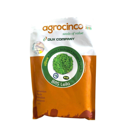 Alface Crespa Leila 5 Mx