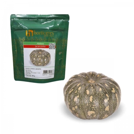 Abobora Jacarezinho Horticeres 100gr